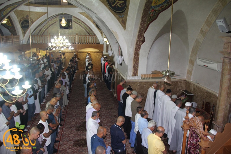 3ed ad7a mahmoudaia (10).JPG